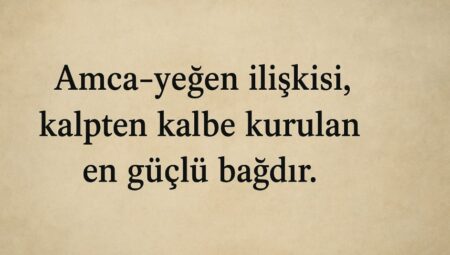 Amca sözleri , Amca yeğen sözleri