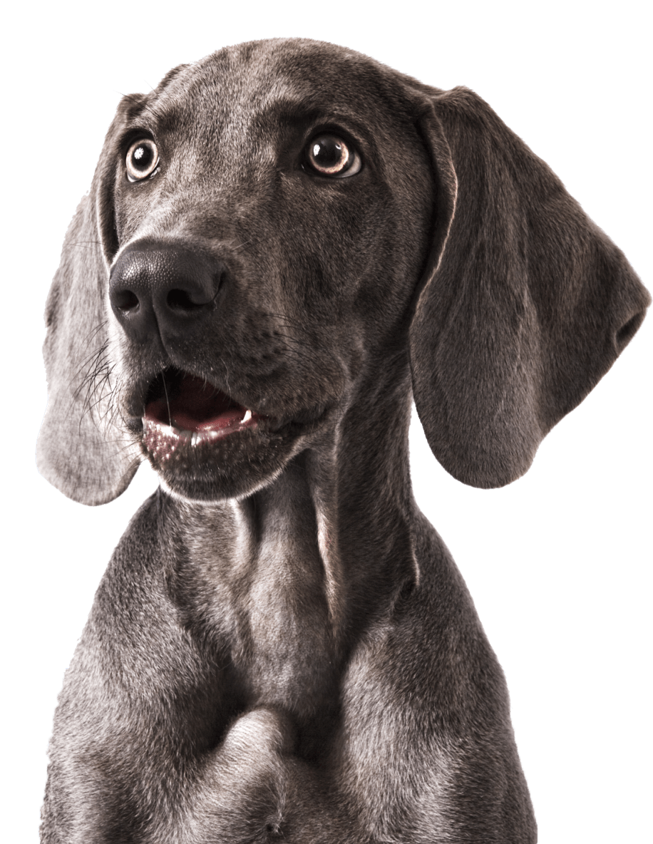 iStock 157527277 1